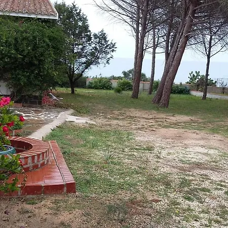 Carla Villa *